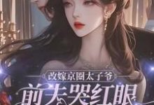 改嫁京圈太子爷,前夫哭红眼求我别嫁(林江宇)完结版免费阅读-看书城