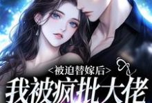 被迫替嫁后,我被疯批大佬宠上瘾免费阅读,谢冬吟宁怀听大结局无弹窗-看书城