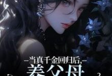 当真千金回归后，养父母要我嫁农夫（主角司音）完结版免费阅读-看书城