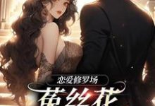 恋爱修罗场：菟丝花踹球要跑路热门小说(黎初夏沈斯仁)在线阅读无弹窗-看书城