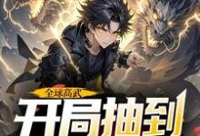全球高武，开局抽到荒古圣体免费阅读，许天大结局无弹窗-看书城