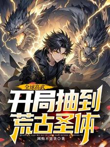全球高武，开局抽到荒古圣体免费阅读，许天大结局无弹窗