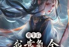 主人公是沈云的小说重生后，我靠氪金云养未来女帝免费阅读-看书城