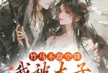 竹马不敌空降，我被太子宠上天精彩章节阅读(薛泠谢珩)免费阅读大结局-看书城