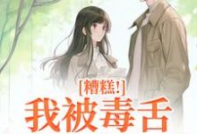 糟糕！我被毒舌霸总缠上了免费阅读，迟笙沈京洲大结局无弹窗-看书城