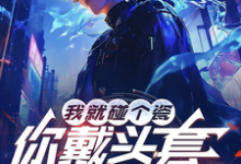 我就碰个瓷,你戴头套什么意思?大结局,陆泽赵勇小说无广告阅读-看书城