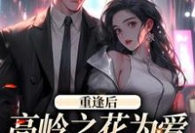 付闻洲程又青最新章节列表重逢后,高岭之花为爱变身追妻狂魔免费阅读-看书城