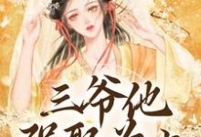 三爷他强娶为上大结局，林知意小说无广告阅读-看书城