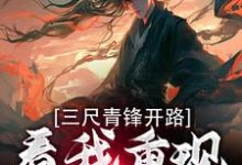 精彩章节阅读三尺青锋开路,看我重现家族荣耀(叶凌天武明月)免费小说在线看-看书城