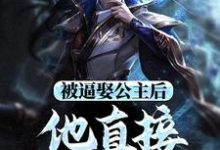 跪求主角是王修苏晚晴的小说书名叫什么-看书城