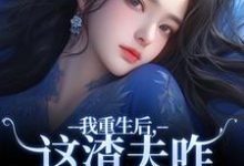 主人公是林菀宁的小说我重生后，这渣夫咋还换人格了免费阅读-看书城