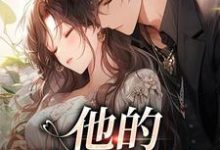 他的蓄意引诱免费阅读,司向淮乌椿大结局无弹窗-看书城