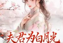 夫君为白月光守身如玉？我成全！无弹窗宋絮晚季墨阳最新章节列表-看书城