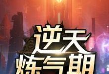 求助这本逆天炼气期小说在哪里可以看完结版-看书城