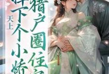 天上掉下个小娇娇，猎户圈住宠大结局，沈青山小说无广告阅读-看书城