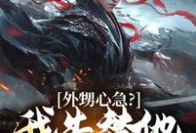 精彩章节阅读外甥心急？我先替他打江山(蓝太平)免费小说在线看-看书城