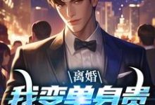 离婚:我变单身贵族强势追爱完结版江辰夏云荷免费阅读大结局-看书城