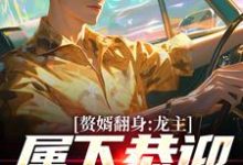 主角是叶尘林含雪的小说赘婿翻身：龙主，属下恭迎您归位在哪免费看-看书城