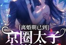 离婚期已到!京圈太子卑微求爱在线看,沈青瓷席星野小说大结局在哪免费看-看书城