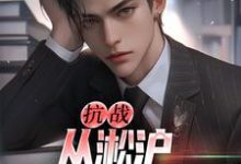 抗战：从淞沪保卫战开始（主角叶青山）完结版免费阅读-看书城