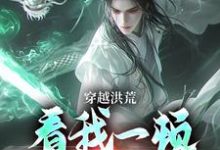 吴天后土小说的结局在哪可以看，穿越洪荒：看我一顿骚操作免费阅读完结版-看书城