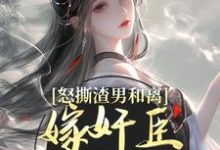 怒撕渣男和离，嫁奸臣高攀不起完结版沈蕴之宋窈窈免费阅读大结局-看书城