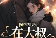 盛宠甜妻：在大叔怀里沦陷无弹窗安姩盛怀安最新章节列表-看书城