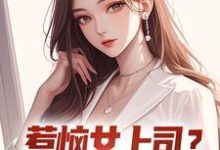 小说惹恼女上司?我有妙计摆平(张文定)最新章节在哪看-看书城