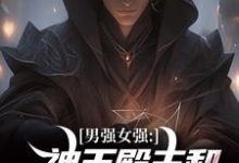 男强女强：神王殿主和女特工闪婚了（林晨叶寒霜）最新章节免费阅读-看书城