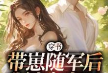 主角是沈淮初陆云琛的小说穿书:带崽随军后我被宠上天在哪免费看-看书城