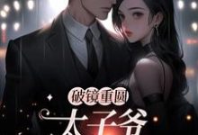 破镜重圆:太子爷他太霸道完结版黎念靳宴深免费阅读大结局-看书城