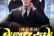 神豪系统：我刷亿点钱不过分吧？（主角何起墨）完结版免费阅读-看书城