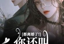 都离婚了!你还叫我夫人干嘛小说最新章节在哪里可以免费看-看书城