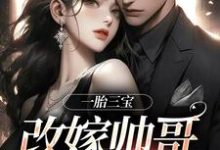 一胎三宝，改嫁帅哥就是宠！免费阅读，林清月傅行舟大结局无弹窗-看书城