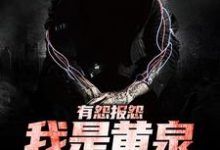 有怨报怨，我是黄泉摆渡人（云渺）最新章节在线阅读-看书城