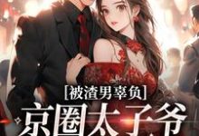完结版被渣男辜负，京圈太子爷化身治愈系在哪免费看，沈颜季辞渊小说在线阅读-看书城
