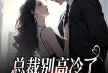 总裁别高冷了,夫人离家出走了小说最新章节在哪里可以免费看-看书城