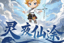 小说灵夜仙途主角林天免费阅读-看书城