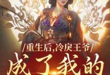云想司空琰小说免费阅读最新章节列表，重生后，冷戾王爷成了我的小奶狗小说在线看-看书城