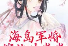 完结版海岛军婚：嫁他生崽崽在哪免费看，沈竹霍锦之小说在线阅读-看书城