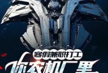 小说寒假兼职打工,你农机厂里开出空天航母?主角季成免费阅读-看书城