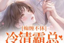 痴缠不休：冷清霸总重拾旧爱热门小说(沈鸯周越)在线阅读无弹窗-看书城