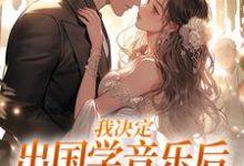 我决定出国学音乐后,大律师后悔了免费阅读,宋棉贺淮川大结局无弹窗-看书城