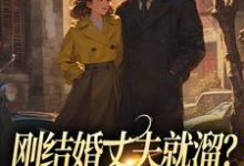 小说刚结婚丈夫就溜?姐真不吃人!主角丁遥香陆舰免费阅读-看书城