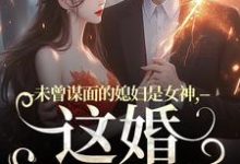 未曾谋面的媳妇是女神,这婚不离了在线看,顾衍掣盛知夏小说大结局在哪免费看-看书城