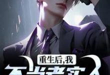 主角是秦守赵瑞龙的小说重生后，我不当老实人当浪子！在哪免费看-看书城