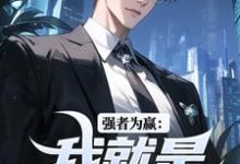 强者为赢：我就是权力中心热门小说(赵阳祁同伟)在线阅读无弹窗-看书城