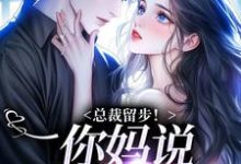 总裁留步！你妈说让你娶我（苏苒染霍司霆）最新章节免费在线阅读-看书城