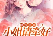 破镜重圆：小姐请牵好我的余生（宋一伟林雨晴）完结版免费阅读-看书城