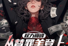 权力巅峰：从替罪羊登上青云之巅精彩章节在线免费阅读（高峰）-看书城